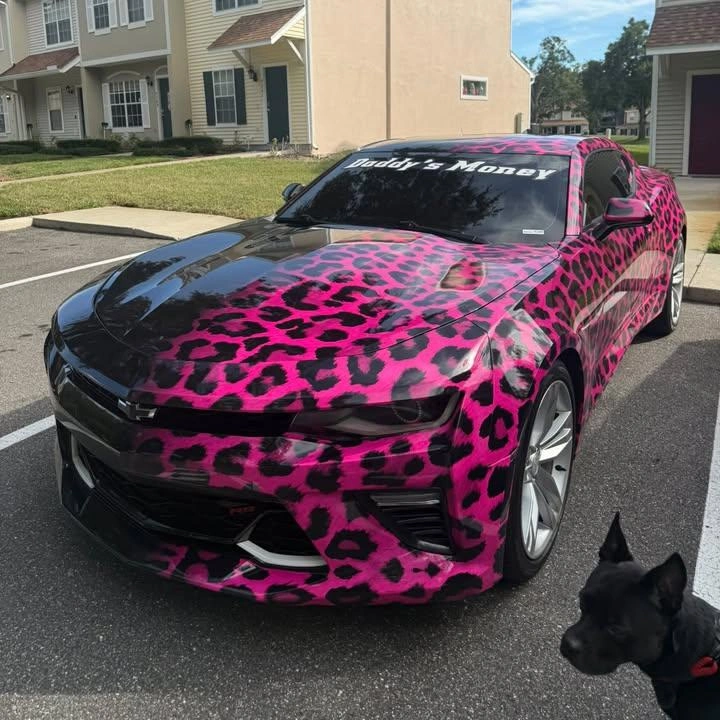 Pink to Black Gradient Leopard Print Custom Car Wrap Color